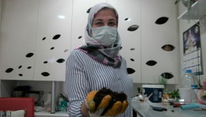 Ucuza satılan bitki toprakları sineklenmeye yol açabilir