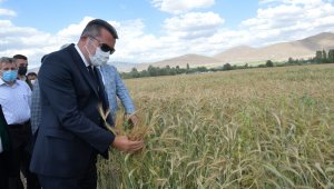 Vali Memiş: "Elleri nasırlı amcalarımız, teyzelerimiz televizyondaki sanatçılardan daha değerli"