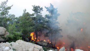 39 helikopter 6 uçakla müdahale devam ediyor