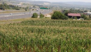 Arsa fiyatları 5 bin liraydı, bir yol yapıldı 500 bin liraya uçtu