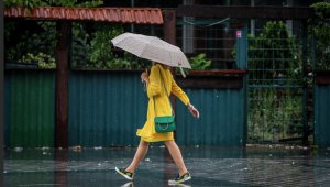 Erzurum, Erzincan, Bayburt, Kars ve Ardahan çevrelerinde...