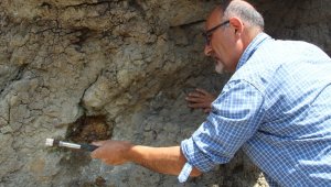 Erzurum'da 160 milyon yıllık keşif