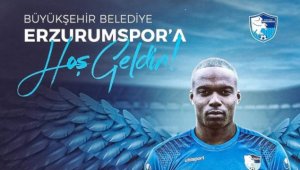 Mikhail Rosheuevel, BB Erzurumspor'da