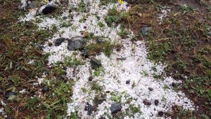 Oltu'da dolu yağışı