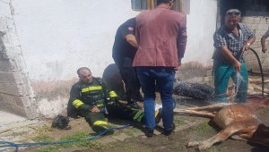 Pasinler'de çıkan yangında 5 hayvan telef oldu