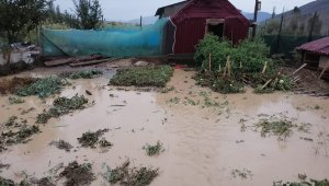 Sel Oltu'da seralara zarar verdi, kümes hayvanları telef oldu