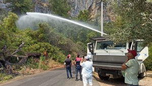 Türkiye alevlere karşı tek yürek oldu