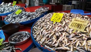 4 kiloluk levreğin kilosu 150 liradan satıldı