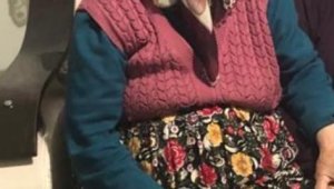 86 yaşındaki kadına 1 fidan için 10 ay hapis cezası