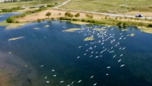 Ağrı Dağı Milli Parkı, güzelliğiyle dikkat çekiyor