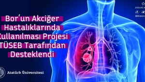 Bor'un akciğer hastalıklarında kullanılması projesi TÜSEB tarafından desteklendi