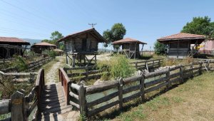 Bu müzenin dünyada benzeri yok