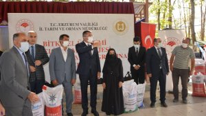 Çiftçilere yem bitkisi tohumu dağıtıldı