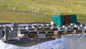 Sahte Anzer Balı'na dikkat