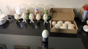 Tavuk yumurtasından sanata giden bir yol