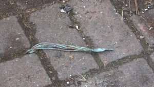 Trafoya giren hırsızlar küle döndü