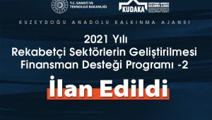 2021 yılı rekabetçi sektörlerin geliştirilmesi finansman desteği programı ilan edildi