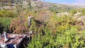 90 yaşına merdiven dayayan 'elma kurdu' Ahmet dedenin gözü Külliye'de