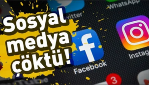 Aile bireyleri tanış olacak