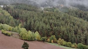 Coreker yaylasında lapa lapa kar yağı