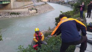 Çoruh nehrine düşen kediyi AFAD ekipleri kurtardı