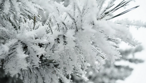 Doğu'da 29 Ekim'de kar bekleniyor