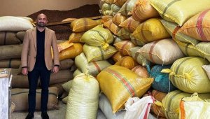 Fındık fiyatı serbest piyasada yükselişini sürdürüyor