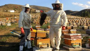 Kuraklık bu sene balın tadını kaçırdı