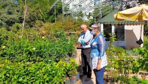 Malatya'da "şarka virüsü" alarmı