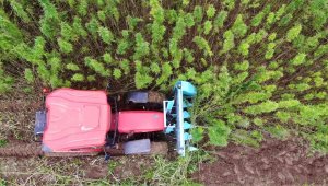 Türkiye'nin ilk tescilli kenevirinde hasat