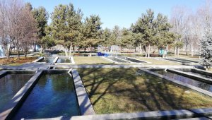 Atatürk Üniversitesi balık üretim çiftliğinde balık sağımı dönemi