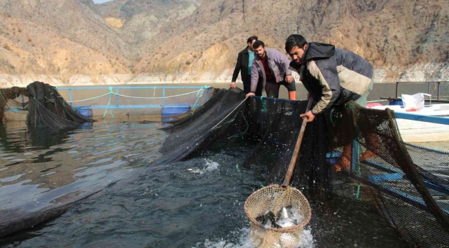 Ayvalı Barajı'nda somon balıkçılığı