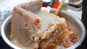 Bal rekoltesi her yıl düşüyor