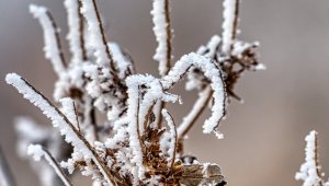 Doğu'da sıcaklıklar hissedilir derecede düşecek