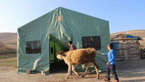 Erzurum'da deprem bölgesinde hayvanlar için çadırlar kuruldu