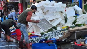 Hamsinin kilosu 5 TL'ye düştü, dakikalar içerisinde tonlarca satıldı