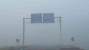 Horasan'da etkili olan yoğun sis sürücülere zor anlar yaşattı