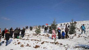 Kar altında binlerce fidanı toprakla buluşturdular