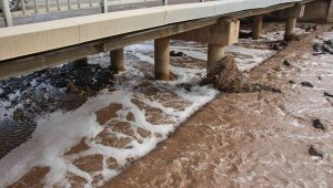 Oltu Çayı'nda ilginç köpürme korkutuyor