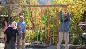 Ormanağzı kömeleri astı