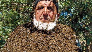 Üzerine 50 bin arı konuyor, maskesiz çalışıyor