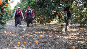 Dalında 1,5 lira...