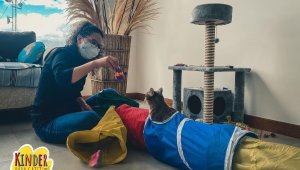 Ekvador'da ilk kedi okulu