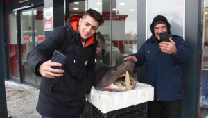 Erzurum'a köpek balığı gelince