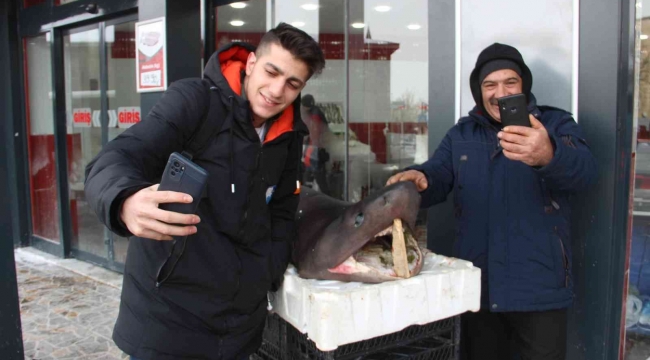 Erzurum'a köpek balığı gelince