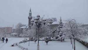 Erzurum'da kar yağışı görsel şölen oluşturdu