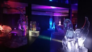 Havalar soğudu, Türkiye'nin tek buz müzesine ilgi arttı