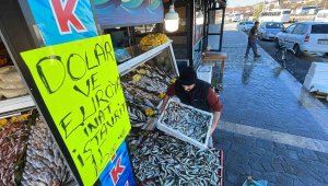 İstavritin kilosunu 15 liraya düşürdü