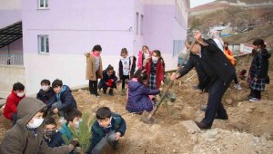 Minik yürekler okul bahçelerine fidan diktiler