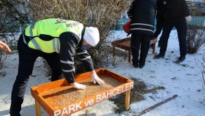 Yaban hayatını korumak için doğaya yem...